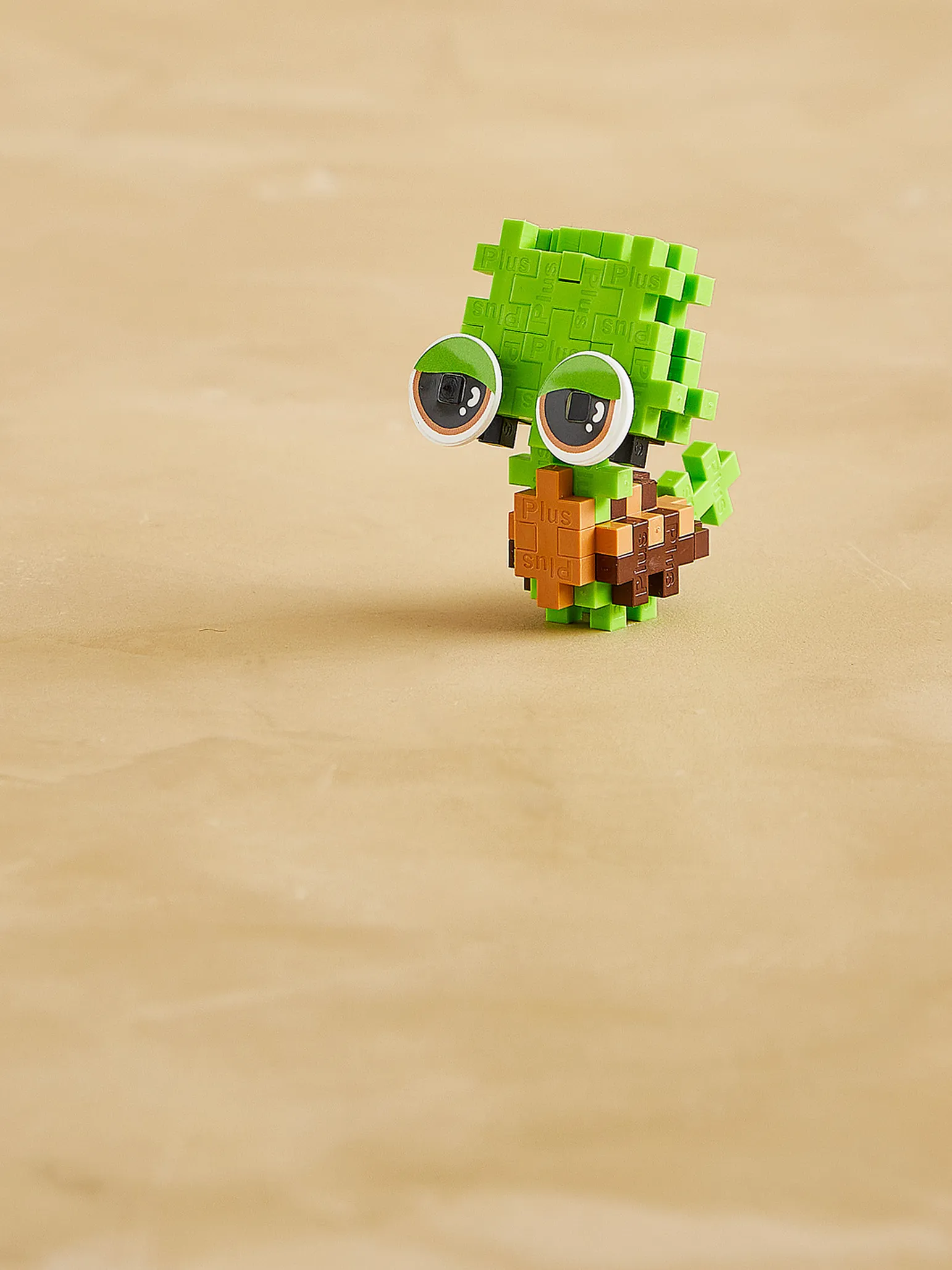 Husdjurspaket – Sköldpadda